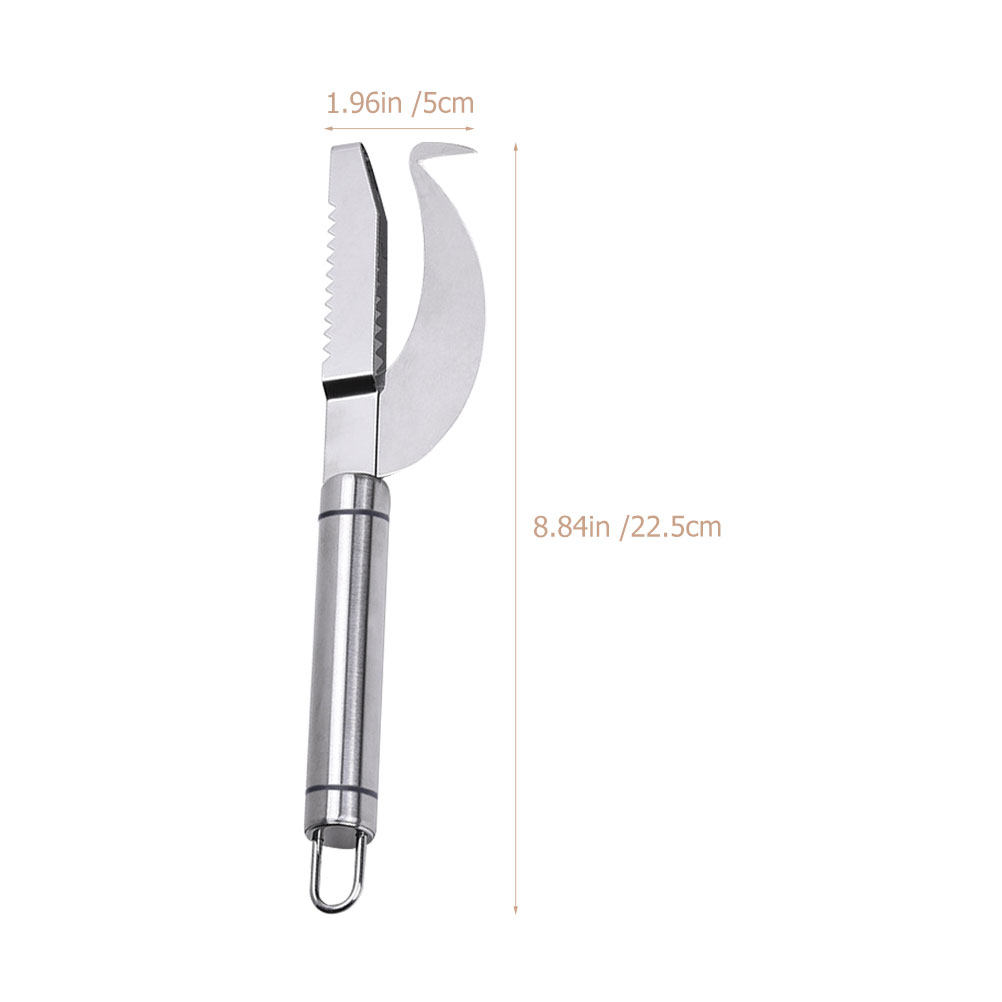 2Pcs Stainless Steel Fish Skin - Kitchen Gadgets Store บทวิจารณ์และราคา