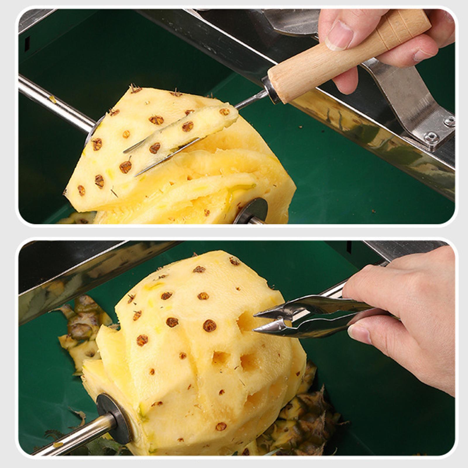 Pineapple Peeling Tool Sturdy  - Kitchen Gadgets Store บทวิจารณ์และราคา