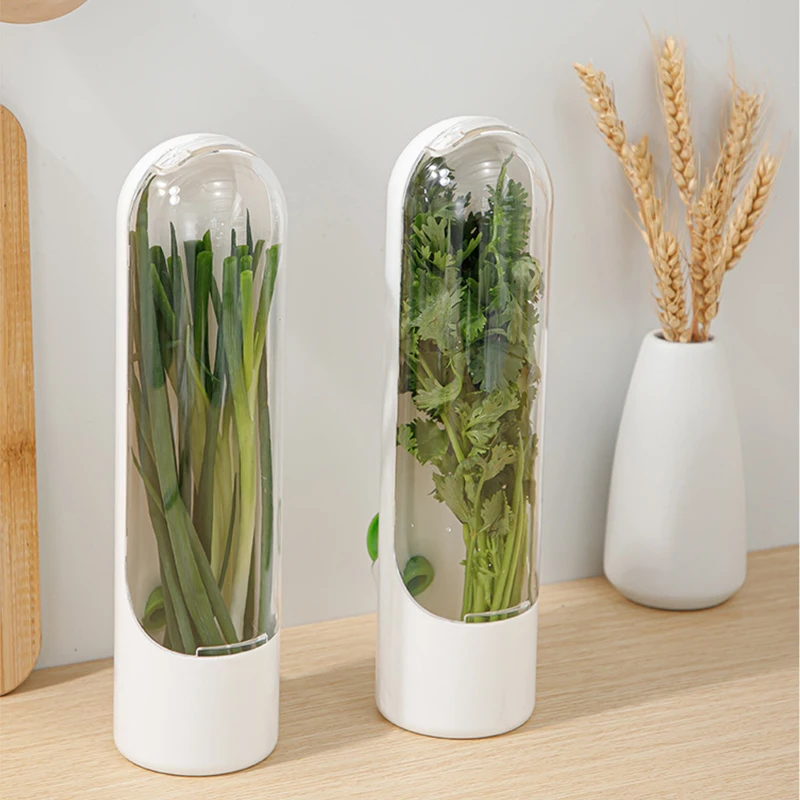 1 Pc Vegetable Preserving Bott - Kitchen Gadgets Store บทวิจารณ์และราคา